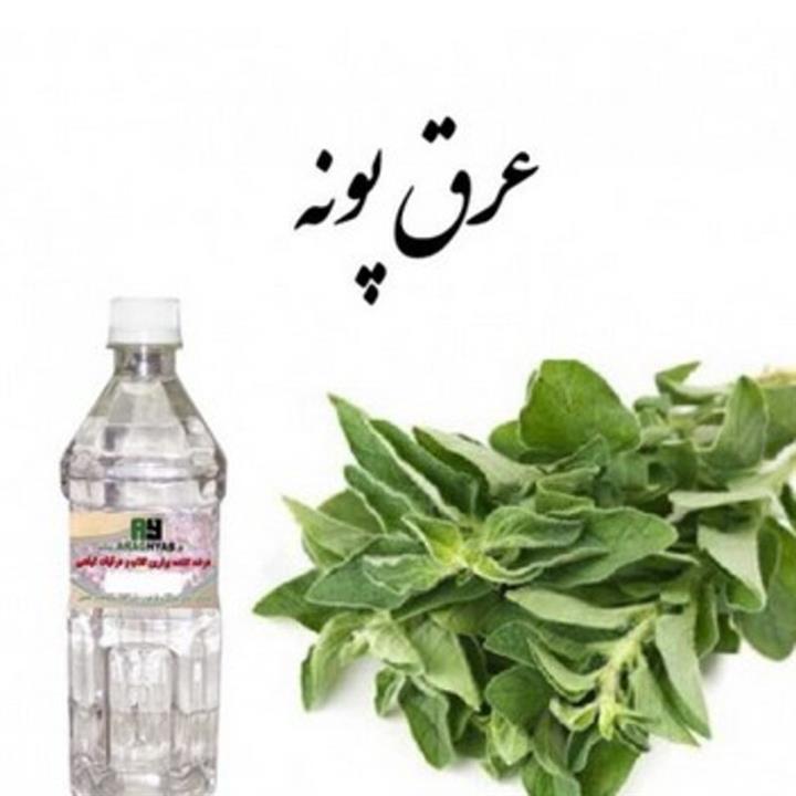 عرق پونه یک لیتری ( )معده روده - سردرد